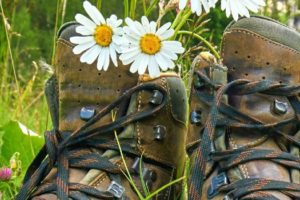 Wandern news