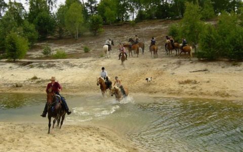 Reiten im Naturpark